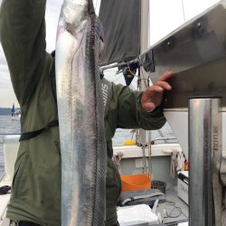 フィッシング　キッタカ 釣果