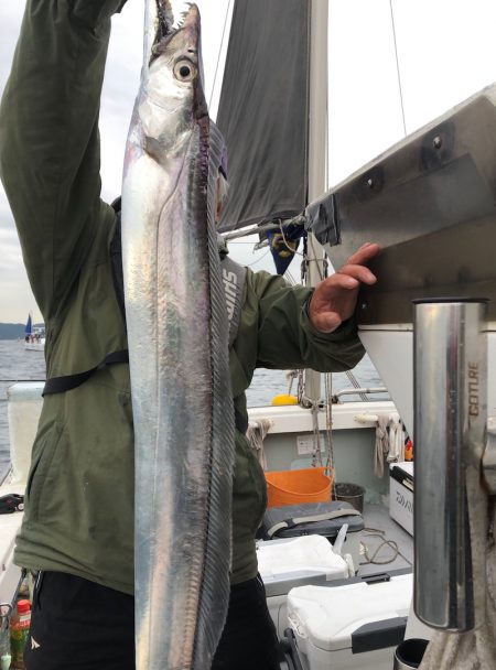 フィッシング　キッタカ 釣果