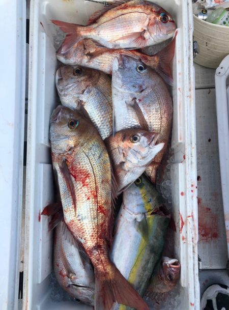 フィッシング　キッタカ 釣果