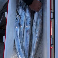 フィッシング　キッタカ 釣果