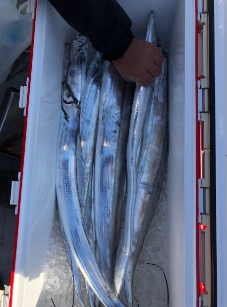 フィッシング　キッタカ 釣果