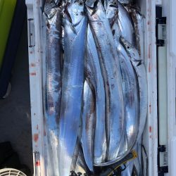 フィッシング　キッタカ 釣果