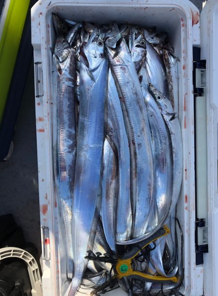 フィッシング　キッタカ 釣果