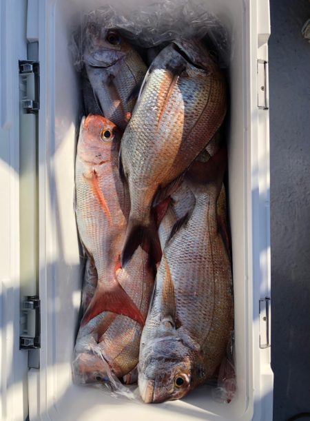 フィッシング　キッタカ 釣果