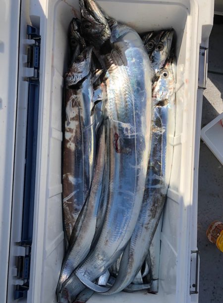 フィッシング　キッタカ 釣果