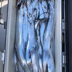 フィッシング　キッタカ 釣果