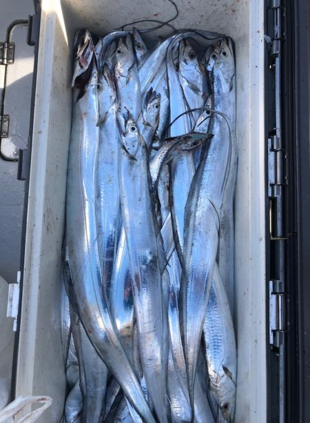 フィッシング　キッタカ 釣果