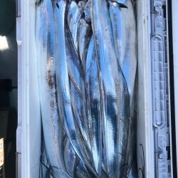 フィッシング　キッタカ 釣果