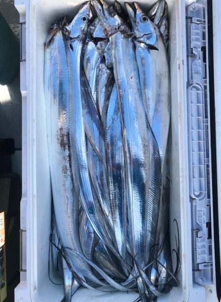 フィッシング　キッタカ 釣果