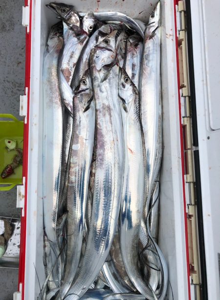 フィッシング　キッタカ 釣果