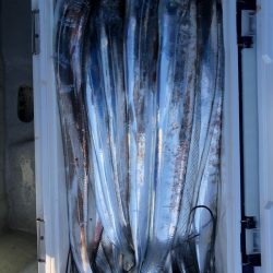 フィッシング　キッタカ 釣果