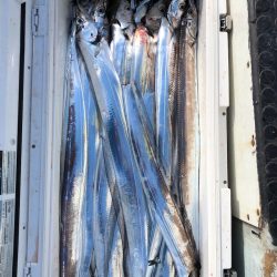 フィッシング　キッタカ 釣果