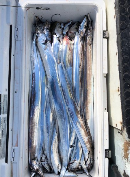 フィッシング　キッタカ 釣果