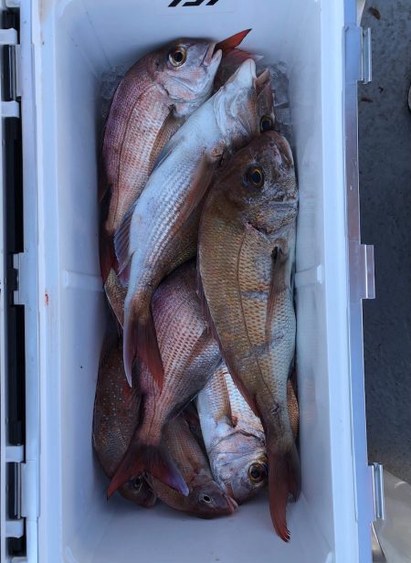 フィッシング　キッタカ 釣果