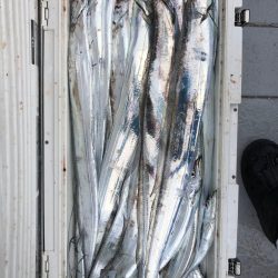 フィッシング　キッタカ 釣果