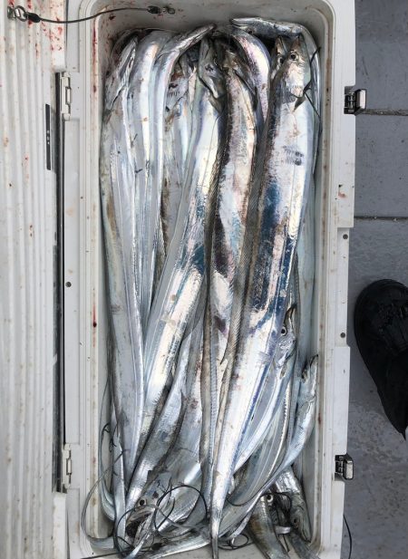 フィッシング　キッタカ 釣果