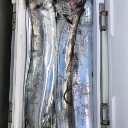 フィッシング　キッタカ 釣果