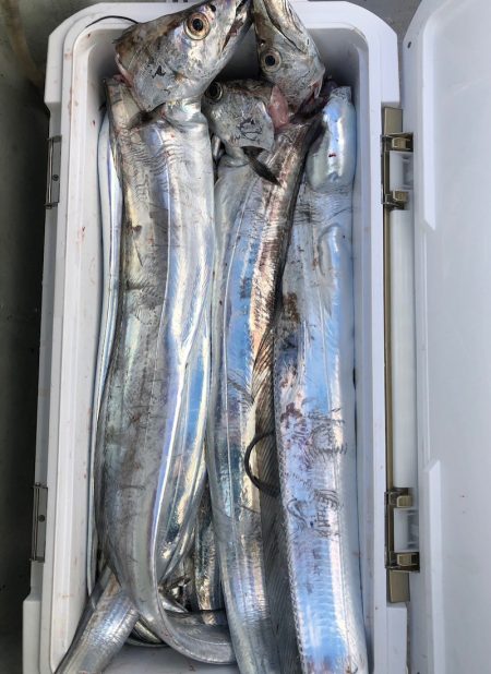 フィッシング　キッタカ 釣果