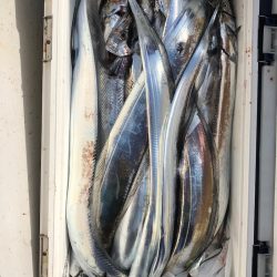 フィッシング　キッタカ 釣果