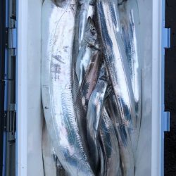 フィッシング キッタカ 釣果