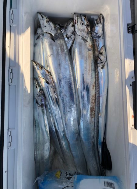 フィッシング　キッタカ 釣果