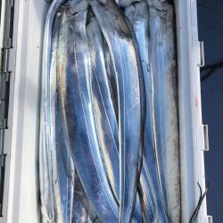 フィッシング　キッタカ 釣果