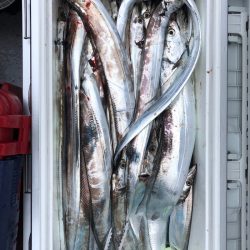 フィッシング キッタカ 釣果