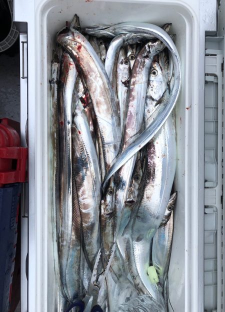 フィッシング キッタカ 釣果