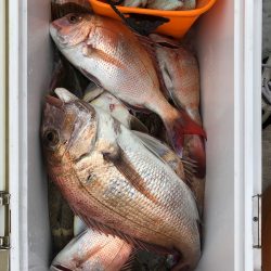 フィッシング キッタカ 釣果