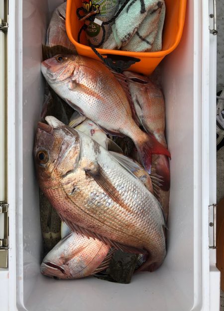 フィッシング キッタカ 釣果