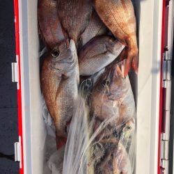 フィッシング キッタカ 釣果