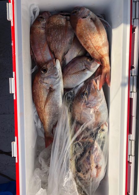 フィッシング　キッタカ 釣果