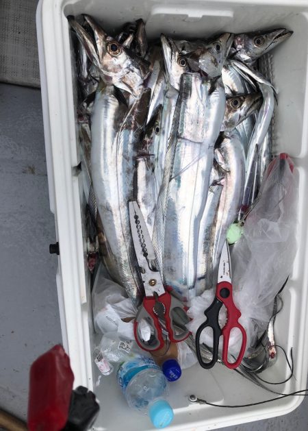 フィッシング キッタカ 釣果