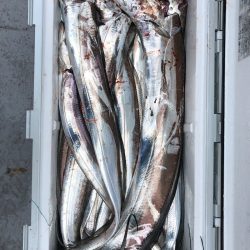 フィッシング キッタカ 釣果