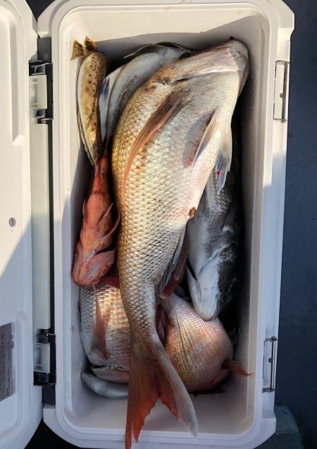 フィッシング キッタカ 釣果