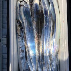 フィッシング　キッタカ 釣果