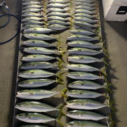 SeaRide(シーライド) 釣果