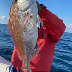 あみや渡船 JIGBOY 釣果