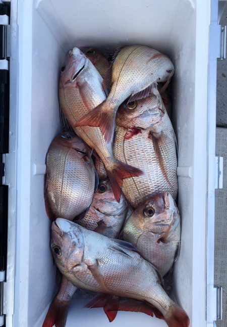 フィッシング　キッタカ 釣果