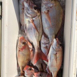 フィッシング キッタカ 釣果