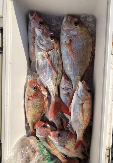 フィッシング キッタカ 釣果