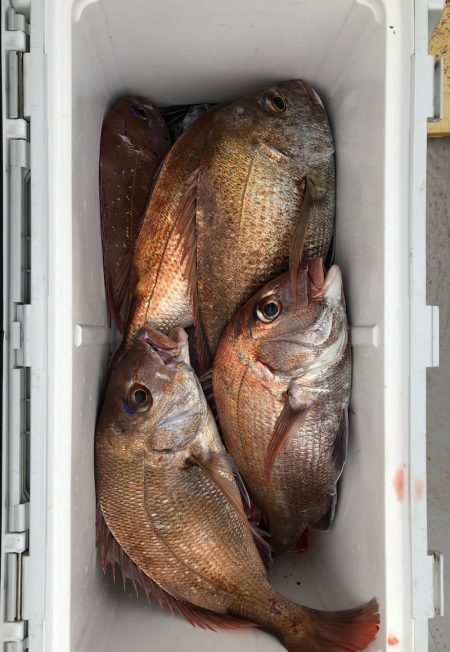 フィッシング キッタカ 釣果