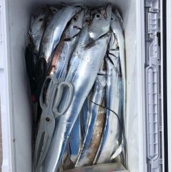 フィッシング　キッタカ 釣果