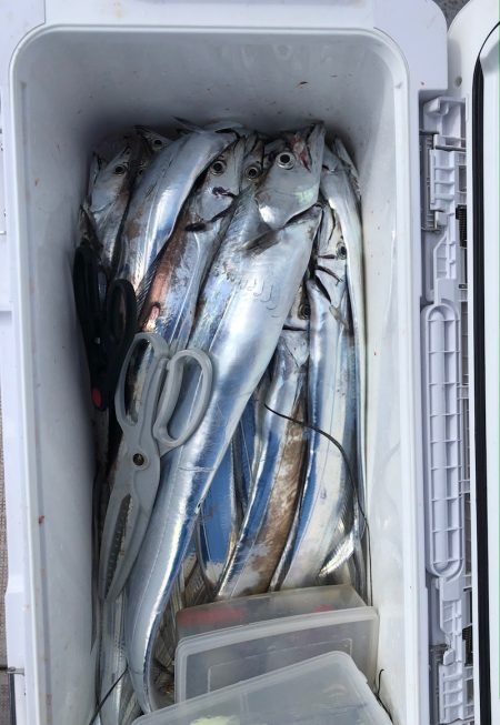 フィッシング　キッタカ 釣果