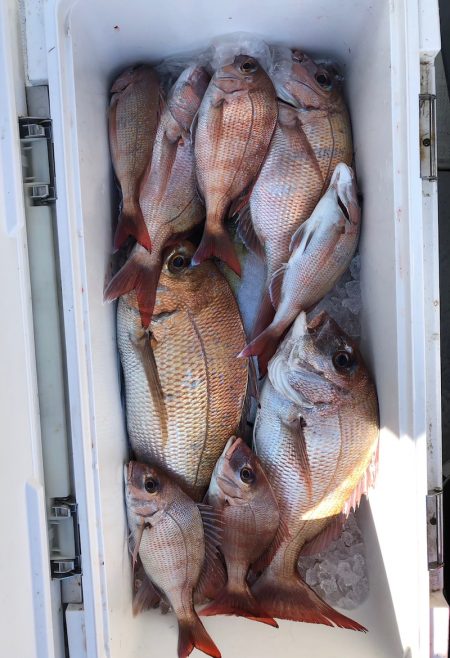 フィッシング　キッタカ 釣果