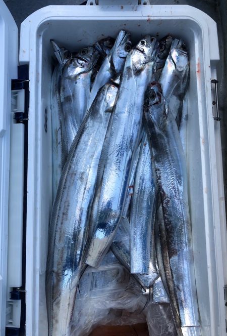 フィッシング　キッタカ 釣果