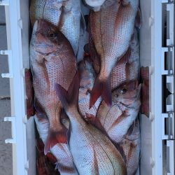 フィッシング キッタカ 釣果