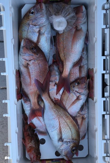 フィッシング キッタカ 釣果