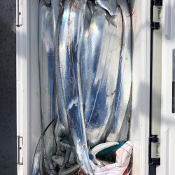 フィッシング　キッタカ 釣果