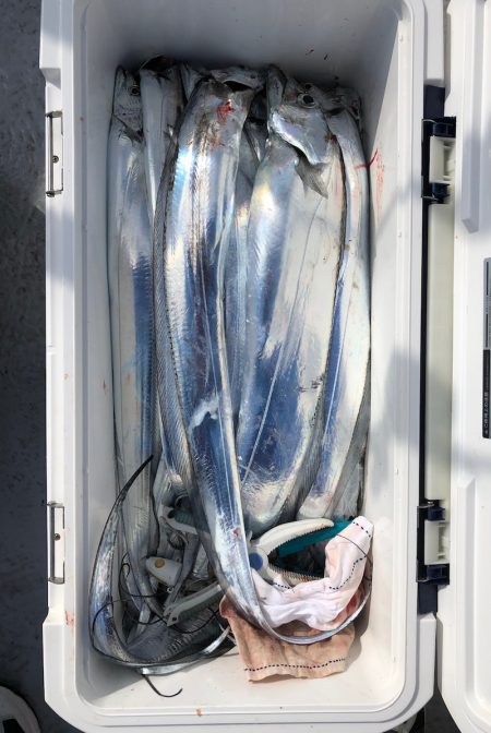 フィッシング　キッタカ 釣果